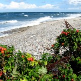 0709F 041 Travemuende-Usedom